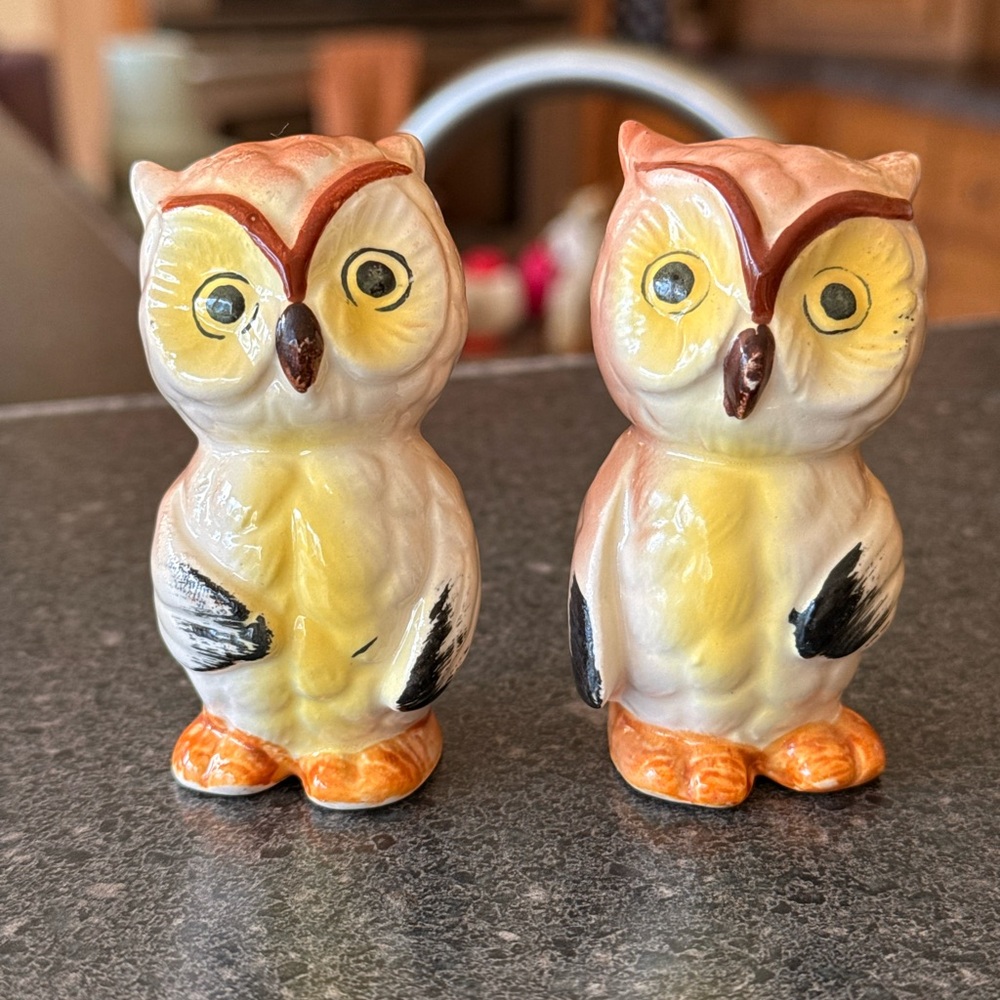 Vintage 1950’s Ceramic Owl Salt and Pepper Shaker